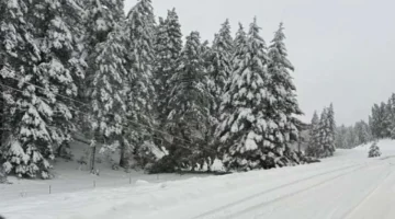 طوارئ في 22 ولاية.. عاصفة شتوية تضرب أمريكا وتتسبب في خسائر واسعة